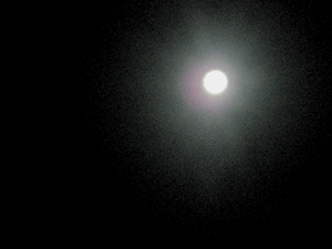 d201001-0001.gif