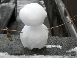 d201002-0003.gif