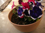 DSCF1241_SP0000.JPG