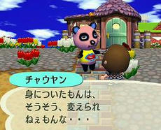 チャウヤン