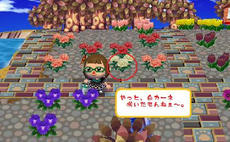 白カーネ