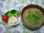 dfe29d75.JPG