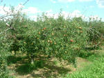 e18c91ac.JPG