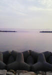 200912241513000.jpg