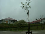 b40fbcd1.JPG