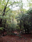 釈迦ガ岳