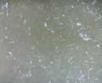 200807072008000.jpg