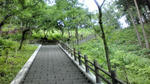 亀山
