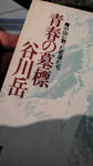 青春の墓標