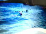 bd2f84c2.jpg