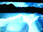 d90b4036.jpg