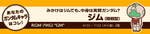 WS000011.PNG