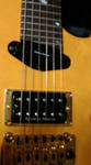 caparison-2.jpg