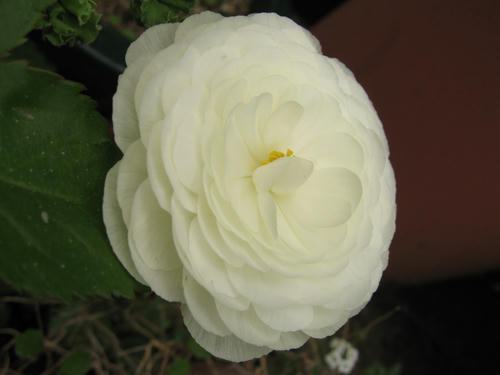 IMG_8351.JPG