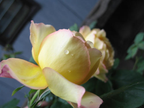 IMG_8399.JPG