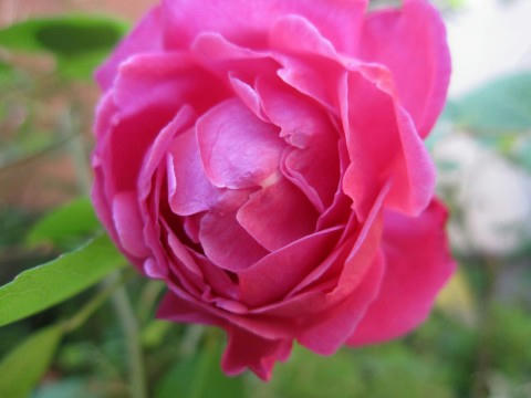 4d722d8d.jpg