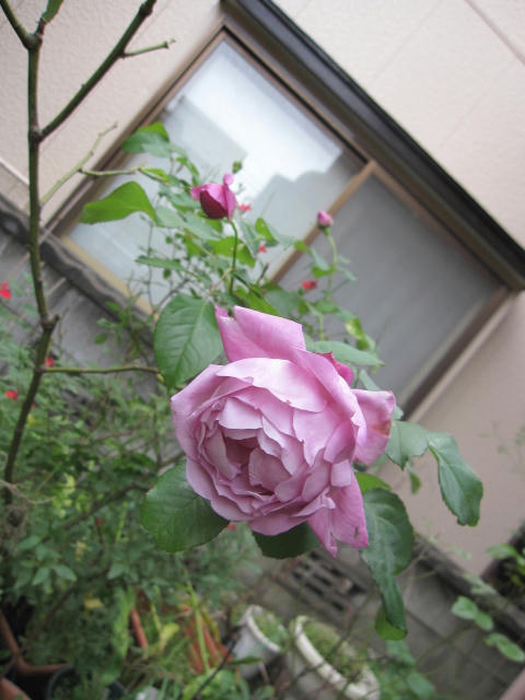 IMG_2210.JPG