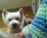 200708141941000.jpg
