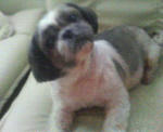 200708151307000.jpg