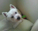 200708151309000.jpg