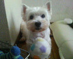 200708241040000.jpg