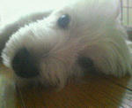 200708272054000.jpg