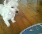 200708272101000.jpg