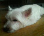 200708281639000.jpg