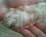 200708281635000.jpg