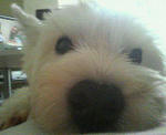 200709030340000.jpg