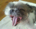 200709041519000.jpg