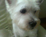 200709041541000.jpg