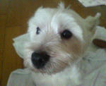 200709041542000.jpg