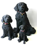 dog009x.jpg
