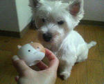 200709151409000.jpg