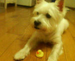 200709191430000.jpg
