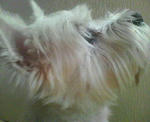 200709200852001.jpg