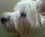 200709200852000.jpg