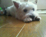 200709210851000.jpg