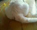 200709220821000.jpg
