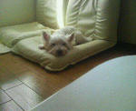 200709220820000.jpg