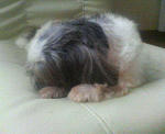 200709270650000.jpg