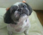 200710021615000.jpg
