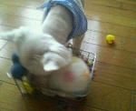 200710031114000.jpg