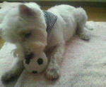 200710051036000.jpg