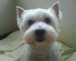 200710091429000.jpg
