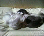 200710181243000.jpg