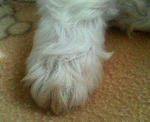 200710201812000.jpg