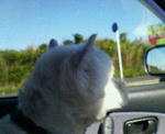 200710211520000.jpg