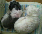 200710241331000.jpg